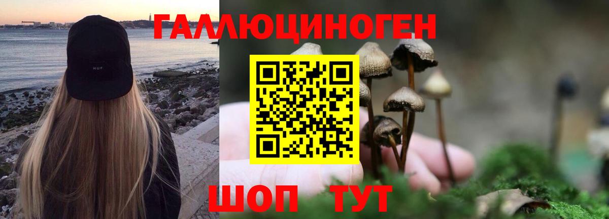 Галлюциногенные грибы MAGIC MUSHROOMS  Вход с VPN  наркошоп  Сунжа 