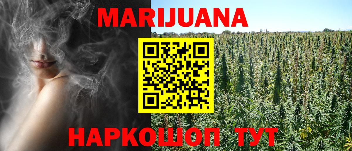Шишки марихуана OG Kush Сунжа